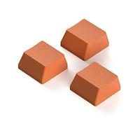 Avejjbaey Lot de 10 capuchons de touches non gravés - Épaississement PBT - Capuchon de touche R3 - OEM