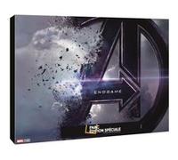 Avengers: Endgame Coffret de pré-réservation SteelBook® Edition Spéciale Fnac Blu-ray E