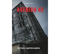 Avenida 45: El incidente