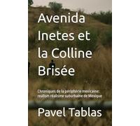 Avenida Inetes et la Colline Brisée: Chroniques de la périphérie mexicaine: realism réalisme suburbaine de Mexique