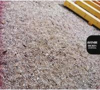 Avenir - Broken Antenna [Import]