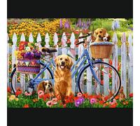 Aventure De Chiots - Puzzle 500 Pièces