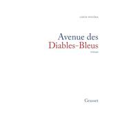 Avenue des diables bleus