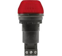 Avertisseur optique LED Auer Signalgeräte 800502405 24 V AC/DC lumière permanente, feu clignotant IP65/67 1 pc(s)