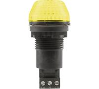 Avertisseur optique LED Auer Signalgeräte 800507405 24 V AC/DC lumière permanente, feu clignotant IP65/67 1 pc(s)