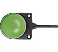 Avertisseur optique LED Idec LH1D-D2HQ4C30G 24 DC/AC lumière permanente vert IP67 1 pc(s)