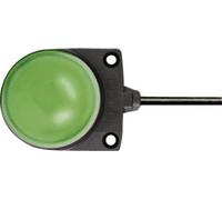 Avertisseur optique LED Idec LH1D-D2HQ4C30G 24 DC/AC lumière permanente vert IP67 1 pc(s)