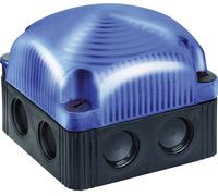 Avertisseur optique LED Werma Signaltechnik 853.510.55 24 V/DC flash IP66 1 pc(s)