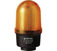 Avertisseur optique Werma Signaltechnik 219.300.00 12 - 240 VAC/VDC lumière permanente IP65 1 pc(s)