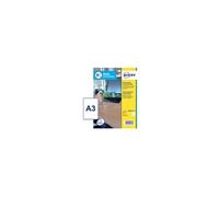 Avery AM001A3 étiquette auto-collante Rectangle Amovible Transparent 10 pièce(s)
