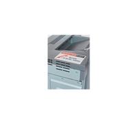 Avery Heavy Duty Laser Labels - Polyester - blanc - 38.1 x 99.1 mm 280 unités (20 feuille(s) x 14 étiquettes