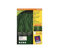 Avery QuickPEEL Recycled Labels LR3655 - A5 (148 x 210 mm) 200 étiquette(s) (100 feuille(s) x 2 étiquettes recy s