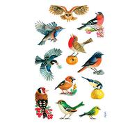 Avery Zweckform -54103 - Autocollants décoratifs oiseaux 33 Aufkleber combinaisons de couleurs.
