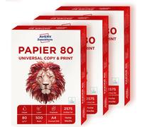 Avery zweckform Papier de bureau A4 format 80g Nombre de feuilles : 1000