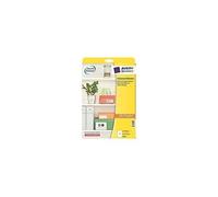Avery Étiquettes universelles 6125 210x297 mm papier blanc fixation permanente jet d'encre 10 pcs