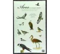 Aves De La España Atlántica - ARCE VELASCO, LUIS MARIO / VAZQUEZ FERNANDEZ, VICTOR MANUEL Arce Velasco, Luis Mario / Vazquez Fernandez, Victor Manuel (Auteur)