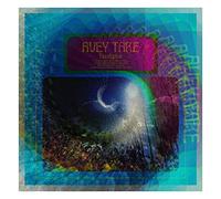 Avey Tare – Eucalyptus – Vinyle (Domino Records)