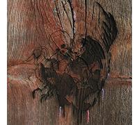 Avey Tare's Slasher Flick - Enter The Slasher House [Import]