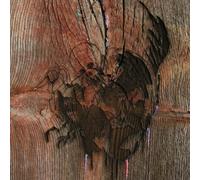 Avey Tare's Slasher Flicks Enter the Slasher House (CD) Album