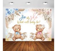 Avezano Toile de fond pour révéler le sexe de l'ours bohème, décoration de fête pour lui ou elle, herbe de la pampa, rose ou bleu, bannière de fond pour photographie (1,5 x 0,9 m)