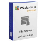AVG File Server Business