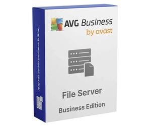 AVG File Server Business