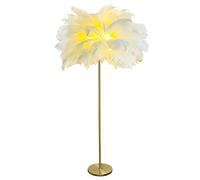 AvgnLxqe lampadaire sur pied salon,160cm led Plume d'autruche naturelle,Chambre moderne simple lampe Corps de lampe dorée, avec une ampoule LED G4 * 4 (Blanc)