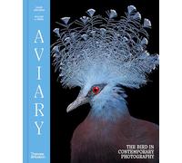 Aviary The Bird in Contemporary Photography /anglais