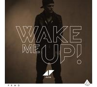 Avicii - Wake Me Up [Import]