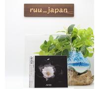 AVICII-WITHOUT YOU-JAPAN CD BONUS TRACK NEUF