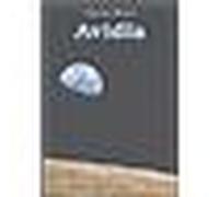 Avidia - Vincent Michel - Atalante - broché - Roman