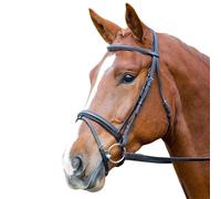 Aviemore - Bride pour chevaux COMFORT FIT (ER640)