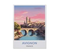 Avignon France，Paper Jigsaw Puzzle 1000 Pieces Adult Toys Decompression Game（50x70cm）-ES57