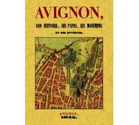 Avignon, Son Histoire, Ses Papes, Ses Monuments Et Ses Environs