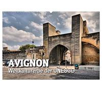 Avignon - Weltkulturerbe der UNESCO (Wandkalender 2026 DIN A2 quer), CALVENDO Monatskalender: Avignon - die Stadt der Päpste