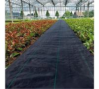 AviiSo Toile de Paillage Anti Mauvaises Herbes 60cm / 100cm / 120cm de large, Barrière contre les mauvaises herbes Pour le potager, Tapis de masque de sol de jardin, 10m - 200m de longueur Qualité Cou