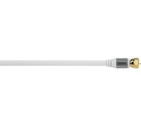 Avinity 2m, 2xF Câble coaxial F Blanc