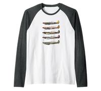 Avion de Chasse Britannique de la Seconde Guerre Mondiale Manche Raglan