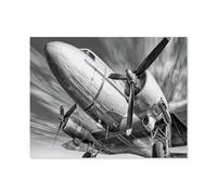 Avion Historique sur Une Piste d’atterrissage, Noir et Blanc，Jigsaw Puzzles Puzzle, 1000 Pièces en Bois Adultes Puzzles, Enfants Cerveau IQ Développement Cadeau（75x50cm）-P4