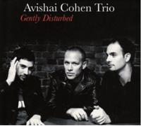 Avishai Cohen Trio Gently Disturbed (Vinyl) 12" Album