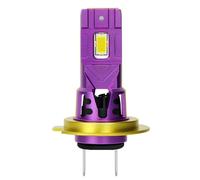 Avizar Ampoule LED H4 pour Phare Automobile 30W 12V 6000K 3500lm IP65 Violet