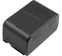 Avizar, Batterie pour Panasonic VW-VBS10E / VBS20E NiMH 4,8 V 4000 mAh 19,2 Wh, Noir