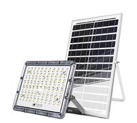 Avizar Projecteur LED 13W Extérieur 9000K avec Panneau Solaire 15W Gris