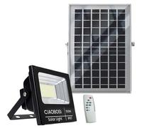 Avizar Projecteur Solaire LED 150W IP67 avec Panneau Déporté et Télécommande