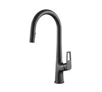 Avizar Robinet de Cuisine Extensible à Double Fonction Bec Haut Noir