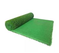 AVkgwrtb Gazon Artificiel synthétique | Multicolore 1x2m 1x3.0m 1x4m 1x5m 1x10m for balcon terrasse jardin : décoration extérieure(1x5m)