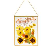 AVLA Brass Hanging Photo Frame, 11x14 Inch Double Glass Floating Display for Pressed Flowers, Large Picture Artwork, Golden Gallery Wall for Specimen, Certificate, Home Decor