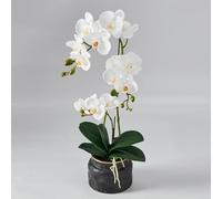 Avoeco Orchidée artificielle au toucher réaliste - Faux phalaenopsis en pot de 50,8 cm - Texture d'orchidée et de feuille en soie très réaliste pour la maison, le bureau, la boutique et la décoration