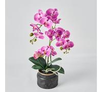 Avoeco Plante Orchidée Artificielle au Toucher Réel - Faux Phalaenopsis de 50,8 cm en Pot - Texture de Fleur d'Orchidée et Feuille en Soie Très Réaliste pour la Maison, le Bureau, la Boutique et la