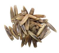 Avoine Bio Avoine - 250 grammes - Avena Sativa (Engrais Vert) SEM06